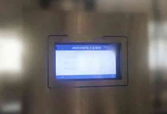 皮带秤仪表不走字？别慌，教你几招快速搞定